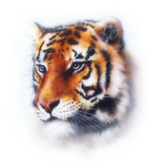 Obraz premium tiger illustration , wildlife animals