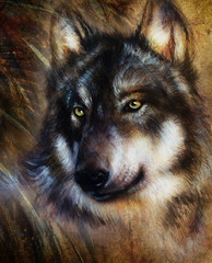 Fototapeta na wymiar Wolf painting, color background on paper , multicolor illustra
