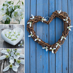 Schneeglöckchen mit Herz Collage