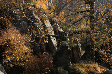 The Prachov Rocks in Central Bohemia, Czech Republic.