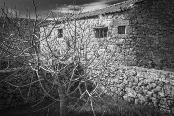 house and a naked tree in Sortelha village, Sabugal Portugal