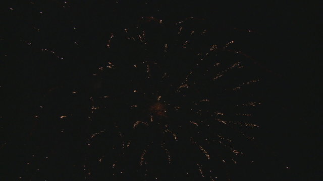 firework on dark sky
