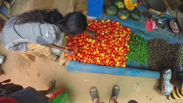 HIKKADUWA, SRI LANKA - MARCH 2014: Aerial view of woman buyer choosing colorful tomatoes at the Sunday market. 