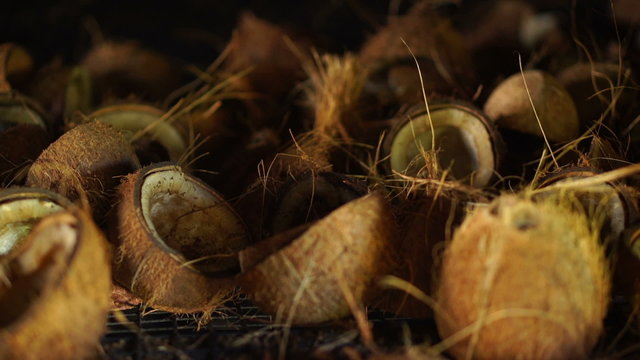 closeup coconut halfs drying
