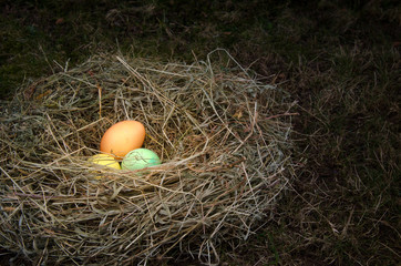 Obraz premium Osternest