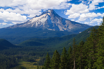 Fototapeta premium Beautiful Vista of Mount Hood in Oregon, USA
