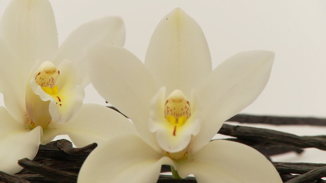 vanilla closeup