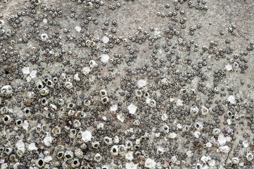 Old Dirty abstract Wall background