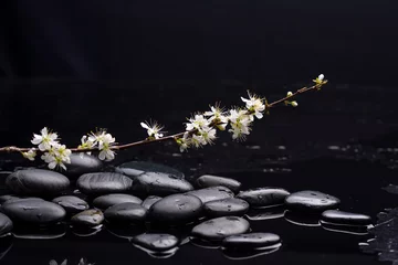 Fotobehang Tak kersenbloesem met zwarte stenen op natte achtergrond © Mee Ting