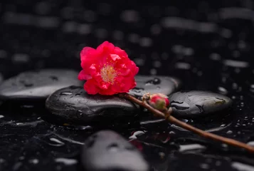 Rolgordijnen Tak rode sakura bloemen met therapiestenen © Mee Ting