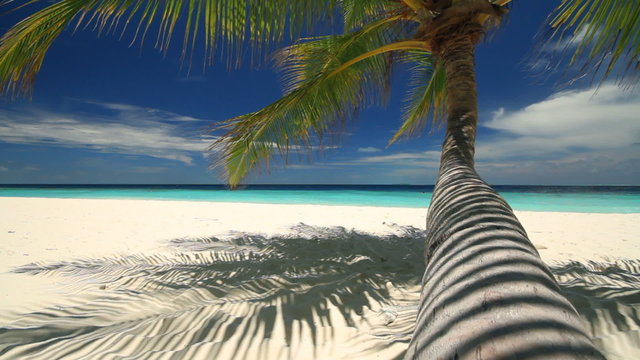 great vacation background