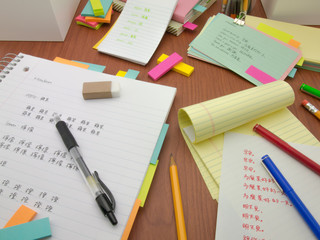 Lerning New Language; Mandalin