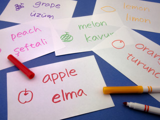 Making Language Flash Cards; Turkish