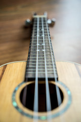 Ukulele Hawaii guitar style