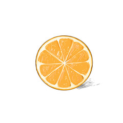 orange half cut circle citrus fruit color sketch draw isolated