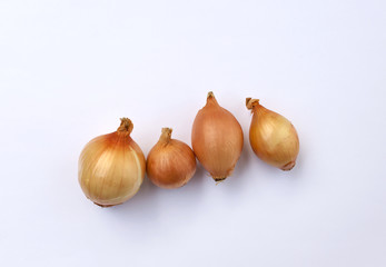 Four onions on white background