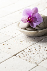mineral decor with pebbles and orchid for spa treatment