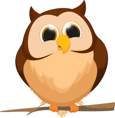 cute owl cartoon