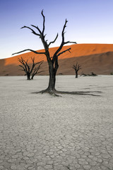 Deadvlei
