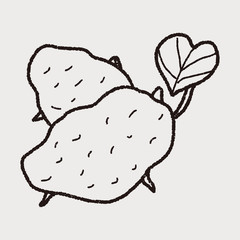 potato doodle