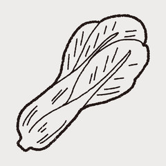 Cabbage doodle