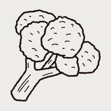 Cauliflower doodle