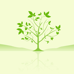 green tree with leaves reflection vector