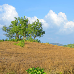  Scenic of Bald Mountain and Grass Mountain with Blue Sky.