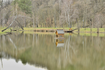 Фрагмент озера в парке © ais60
