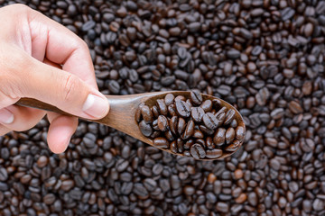 Hand holding spoonful of dark roasted coffee beans