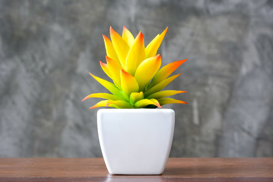 Colorful Yellow Houseplant In Small White Pot