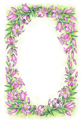 Delicate pink lily. Pencil drawing