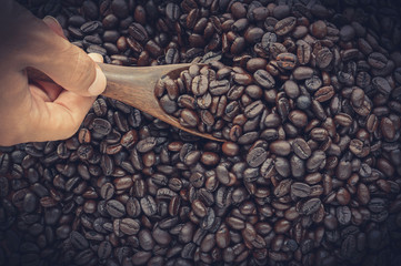 Hand scooping spoonful of dark roasted coffee beans