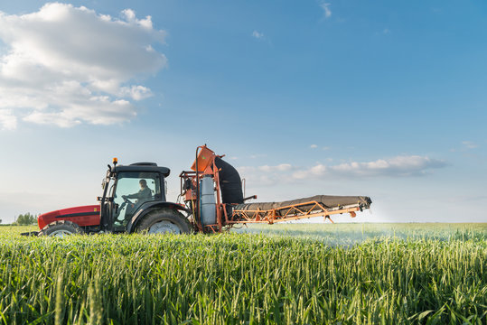 Tractor spraying wheat
