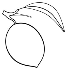 Delightful garden - One simple lemon with its branch and leaf