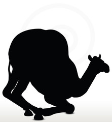 camel in Kneeling pose