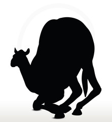 camel in Kneeling pose