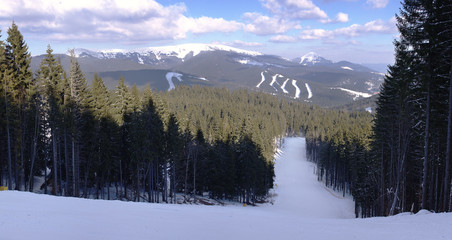 Winter mountain landscape