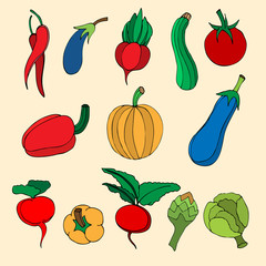 Set of hand drawn vegetables. Doodles, vector illustration. Isol