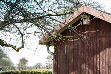 allotment hut with garden in spring