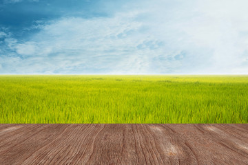 wooden table and rice field with the nature background