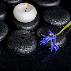 beautiful spa concept of blooming iris flower, candle and black