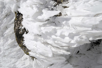 Śnieżne płomienie © Dejan Gospodarek