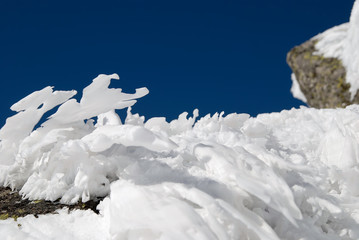 Śnieżne płomienie © Dejan Gospodarek