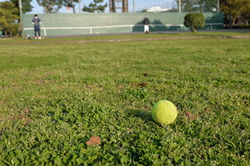 テニスボールと練習コート