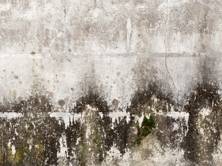 concrete wall with mold