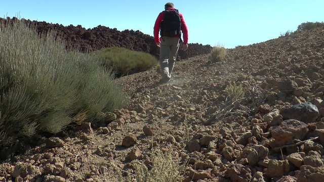 randonn&eacute;e dans le d&eacute;sert