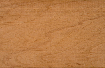 Obraz premium Texture of wood background closeup