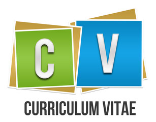 Curriculum Vitae Colorful Blocks