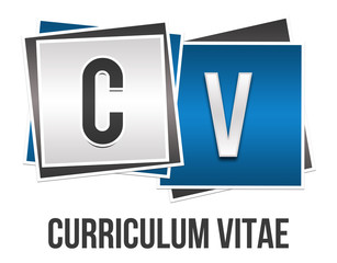 Curriculum Vitae Blue Grey Blocks